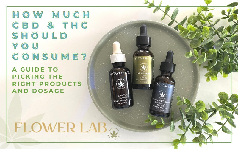 How much CBD and THC should you consume?