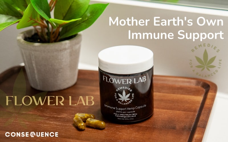 Immune Support Hemp Capsules Blog Pic