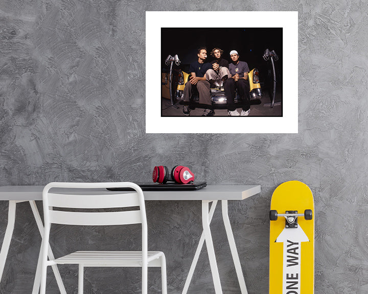 Take home an iconic photo of Blink-182 from their Enema of the